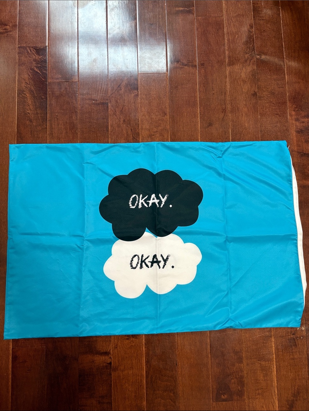 The Fault In Our Stars Pillow Case